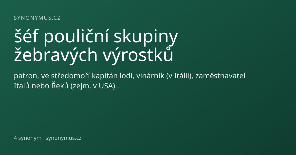 Náhled odkazu: šéf pouliční skupiny žebravých výrostků