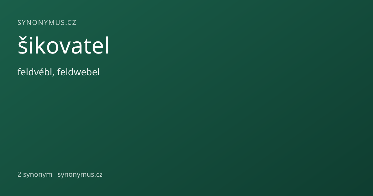 Náhled odkazu: šikovatel