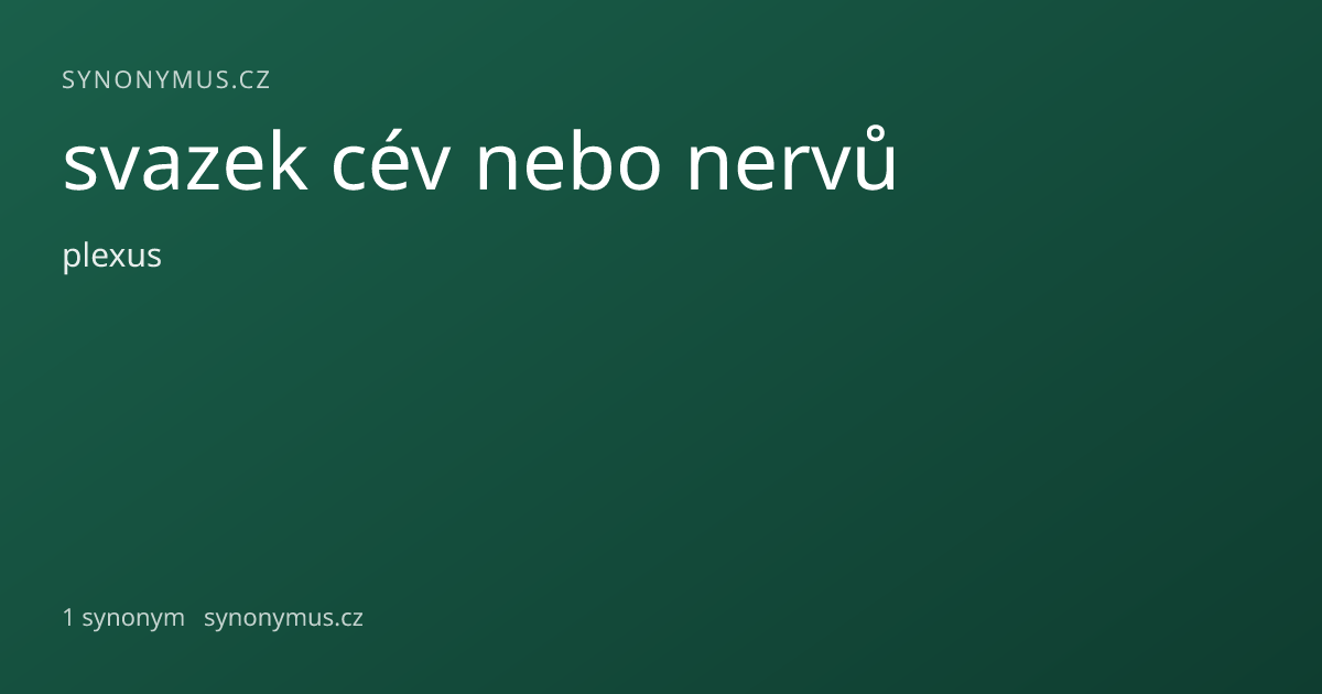 Náhled odkazu: svazek cév nebo nervů