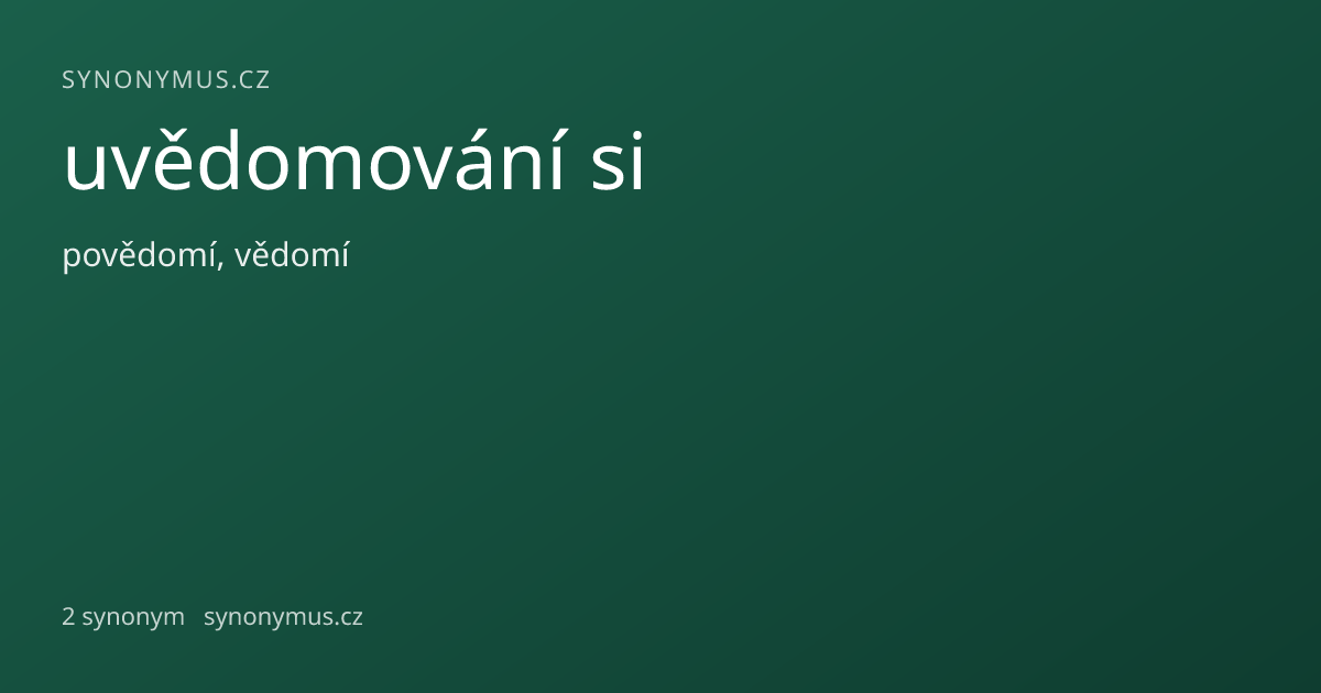 Náhled odkazu: uvědomování si