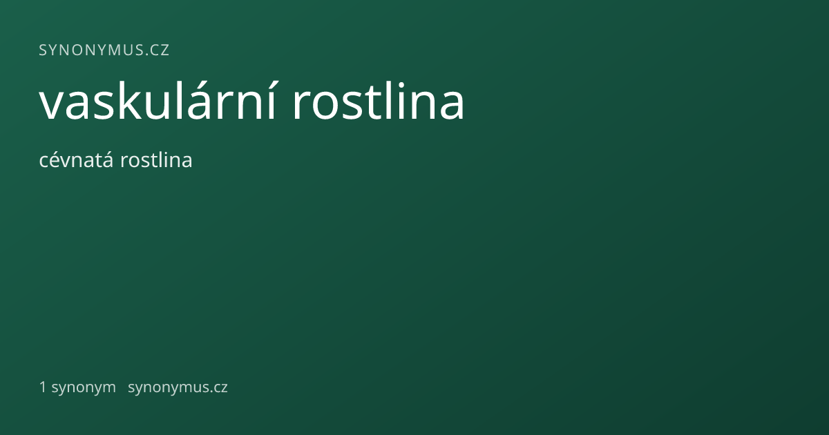 Náhled odkazu: vaskulární rostlina