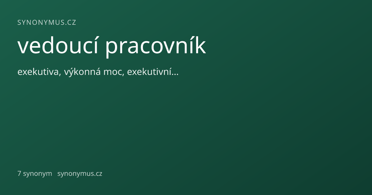 Náhled odkazu: vedoucí pracovník