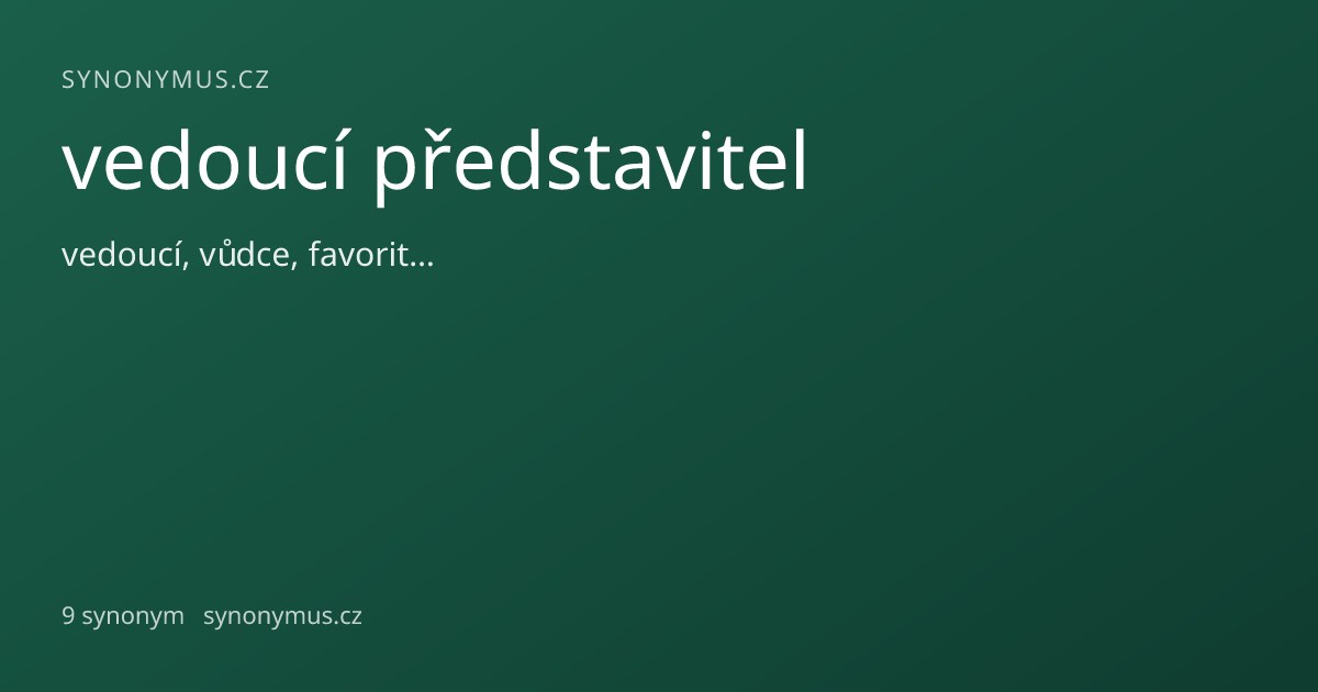 Náhled odkazu: vedoucí představitel