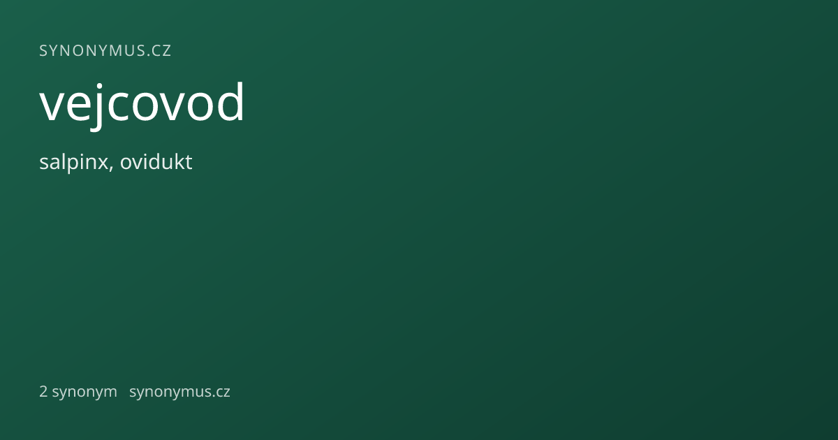 Náhled odkazu: vejcovod
