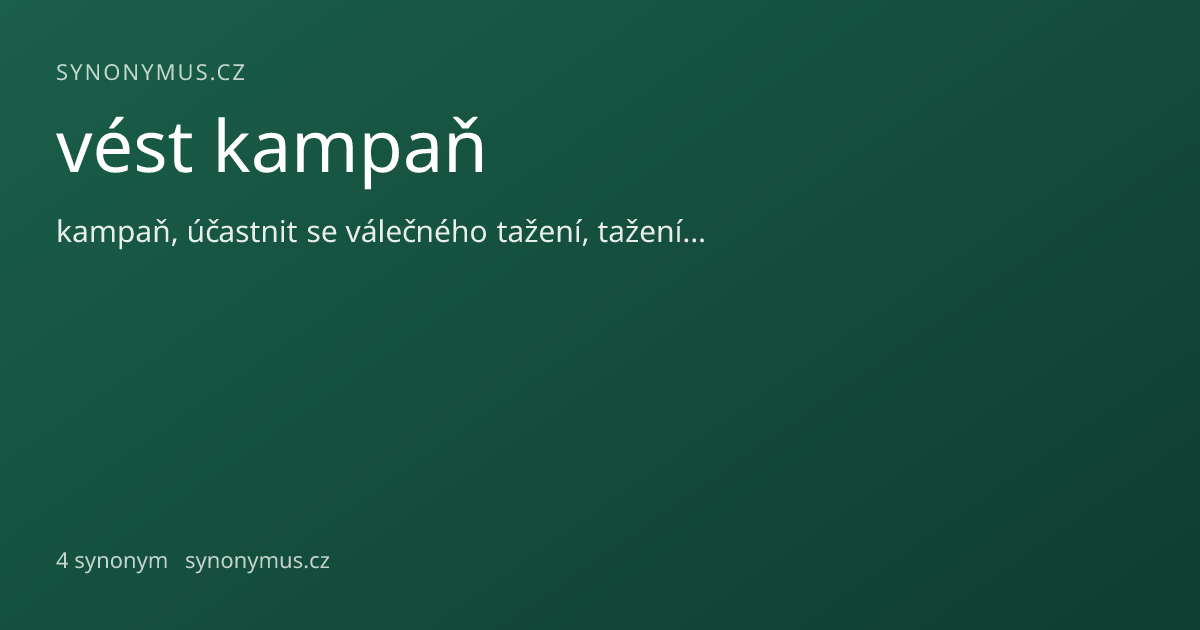 Náhled odkazu: vést kampaň