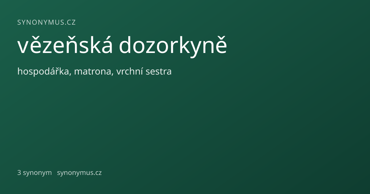 Náhled odkazu: vězeňská dozorkyně