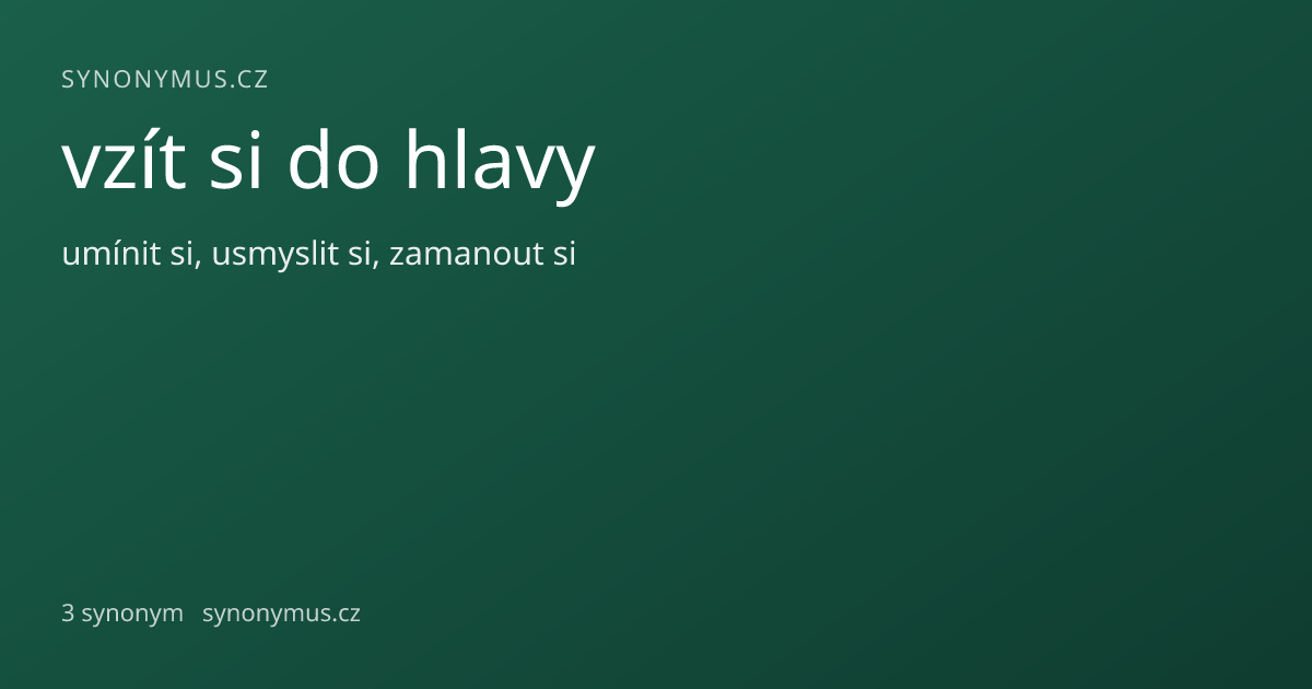 Náhled odkazu: vzít si do hlavy