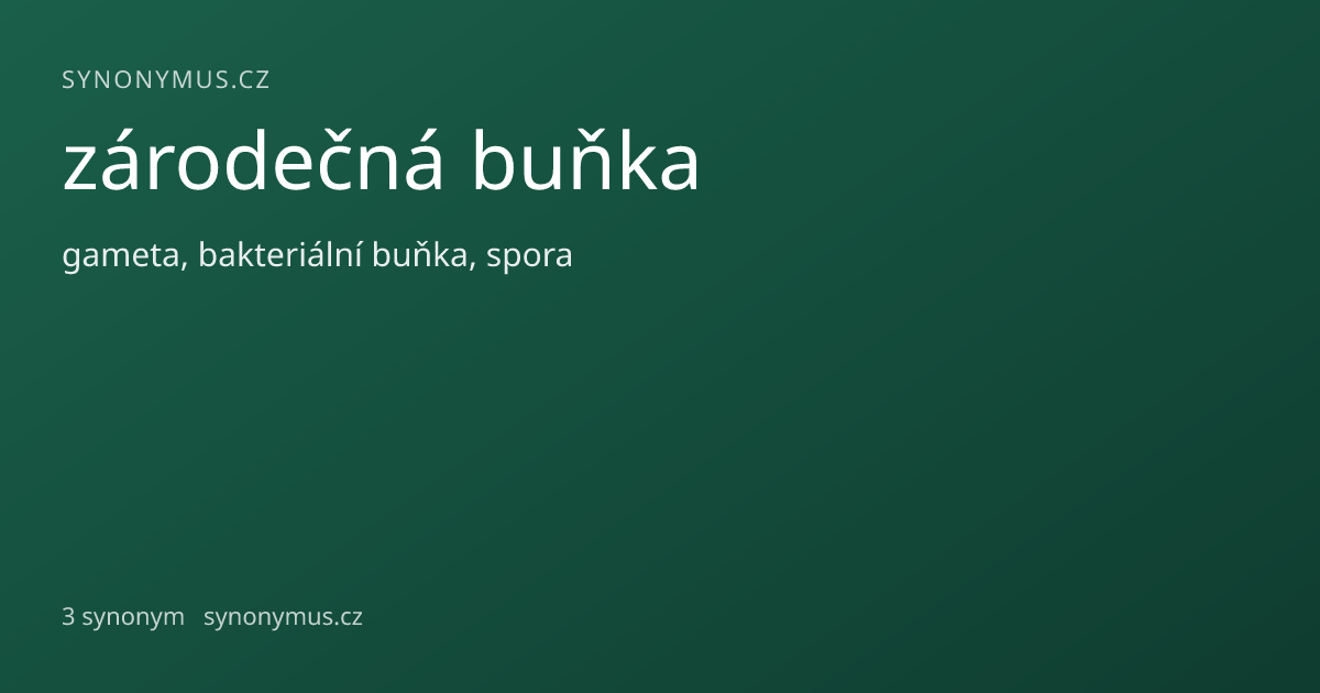 Náhled odkazu: zárodečná buňka