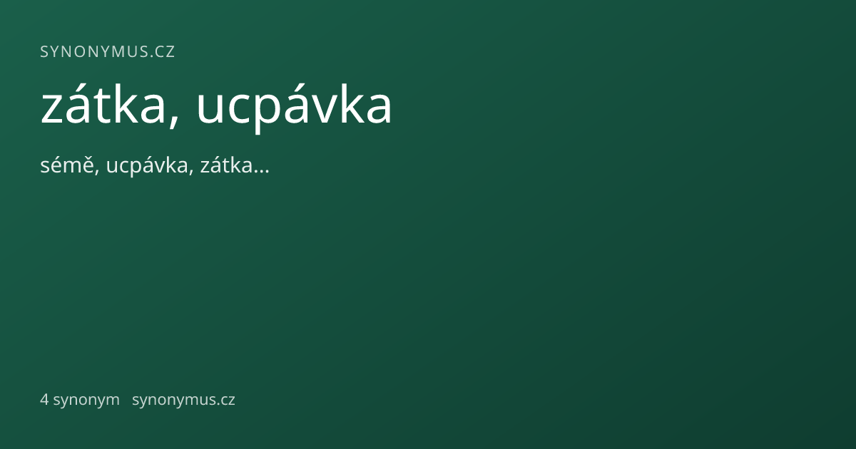 Náhled odkazu: zátka, ucpávka