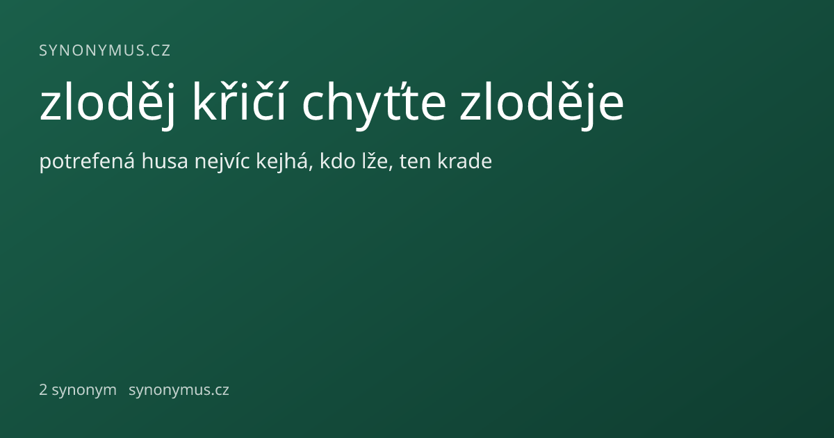 Náhled odkazu: zloděj křičí chyťte zloděje